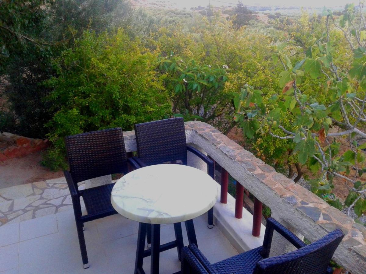 Sunrise פלקסטרון