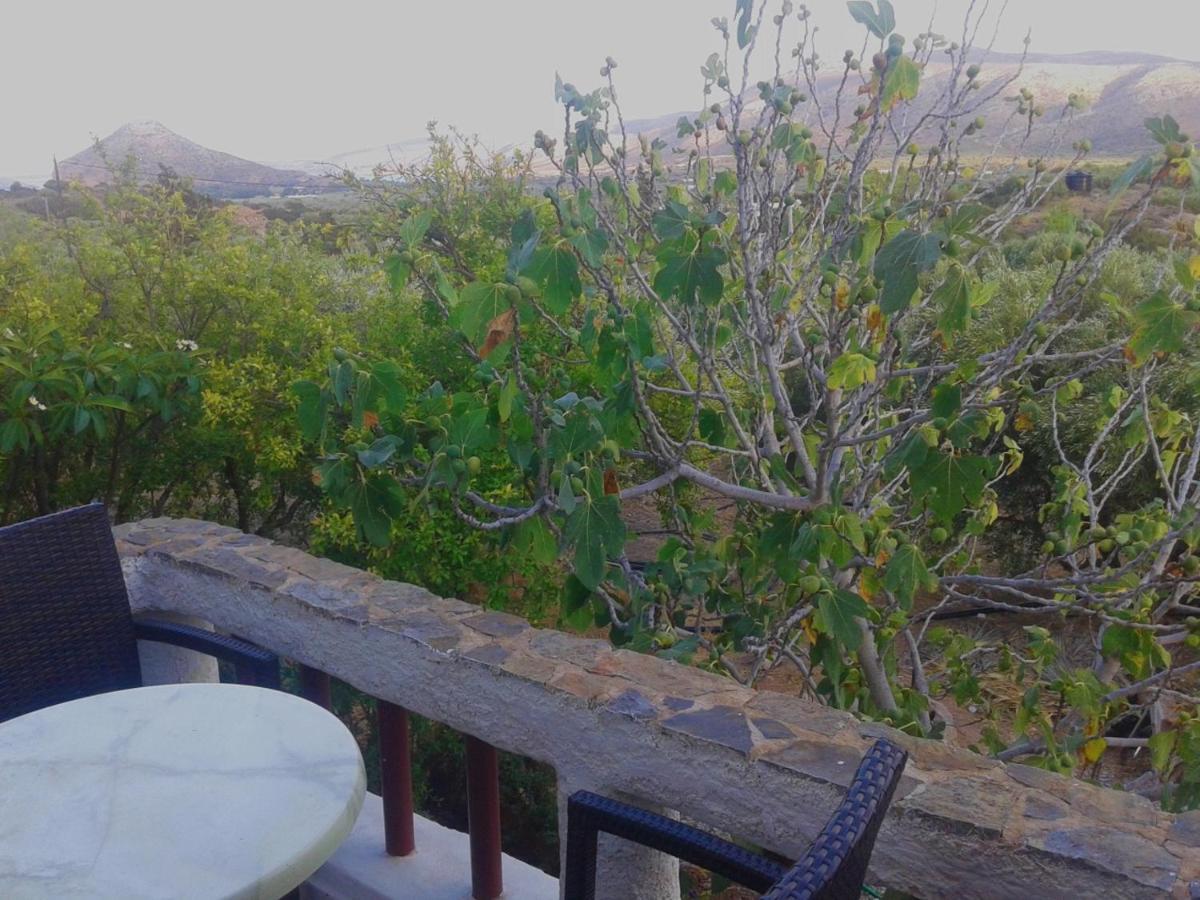 Appartement Sunrise Palekastro